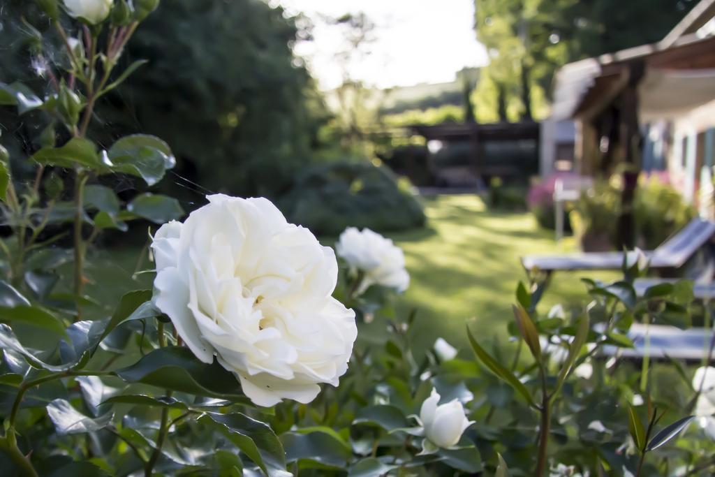 B&B I Fiori Della Cava 페자로 외부 사진